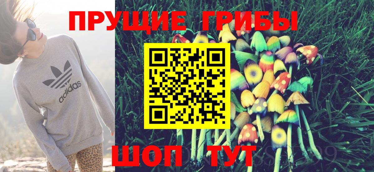 Псилоцибиновые грибы Psilocybine cubensis Гай