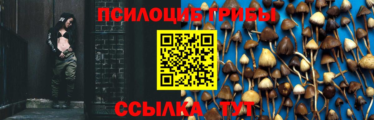 Гай  Галлюциногенные грибы GOLDEN TEACHER  продажа наркотиков  Вход с VPN 